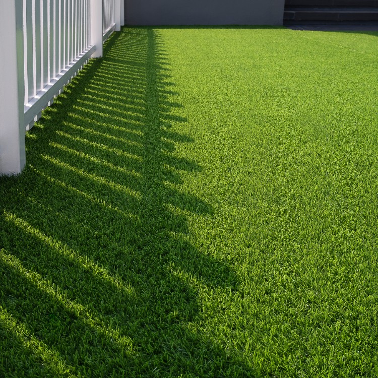 Lawn care and landscaping in Kerrville, TX