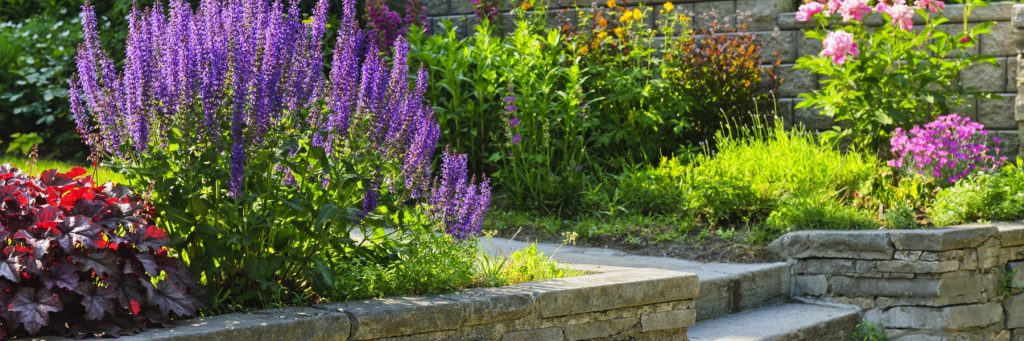 Lawn care and landscaping in Kerrville, TX