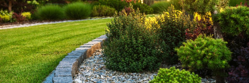 Lawn care and landscaping in Kerrville, TX