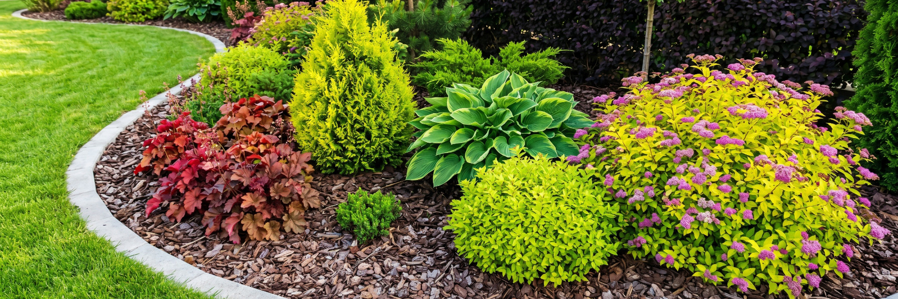 Lawn care and landscaping in Kerrville, TX